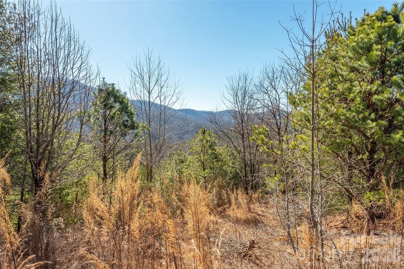99999 Woodhen Way #138 & 139, Horse Shoe, NC 28742