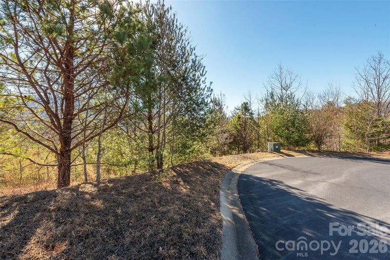 99999 Woodhen Way #138 & 139, Horse Shoe, NC 28742