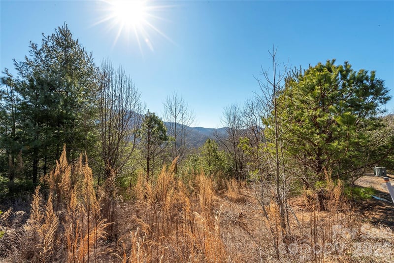 99999 Woodhen Way #138 & 139, Horse Shoe, NC 28742