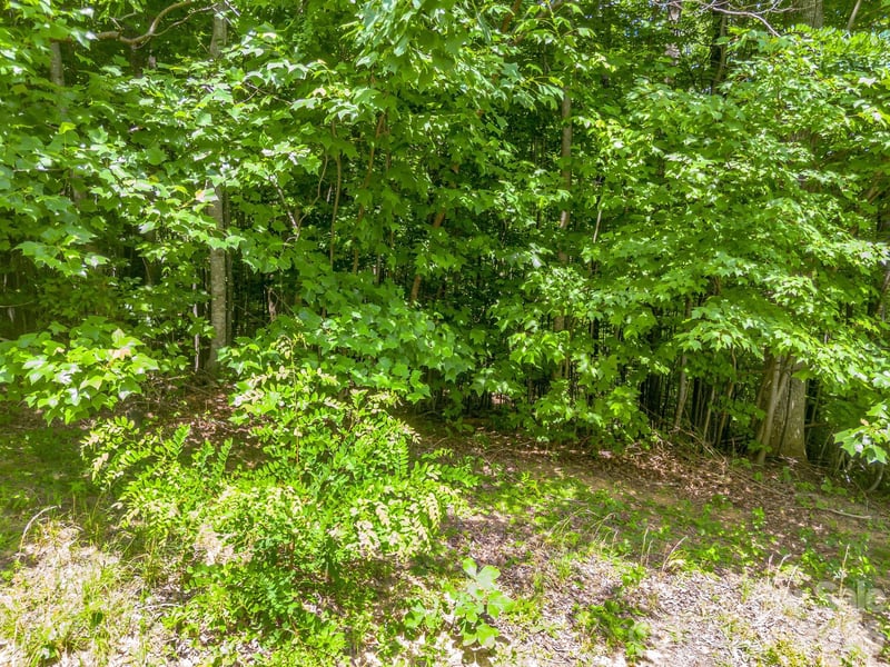 Lot 29 Matho Tc #29, Lake Lure, NC 28746