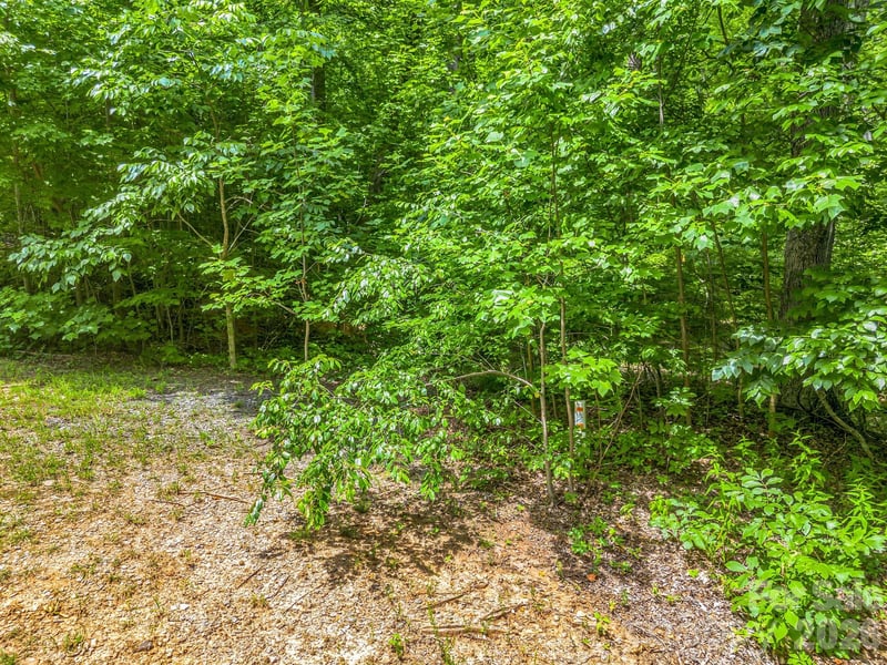 Lot 29 Matho Tc #29, Lake Lure, NC 28746