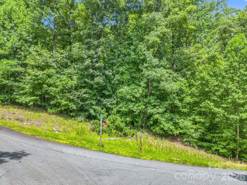 Lot 29 Matho Tc #29, Lake Lure, NC 28746