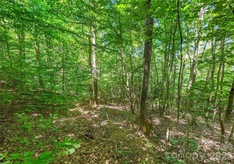 71 Timberwood Dr, Asheville, NC 28806