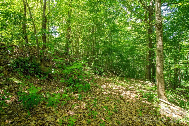 71 Timberwood Dr, Asheville, NC 28806