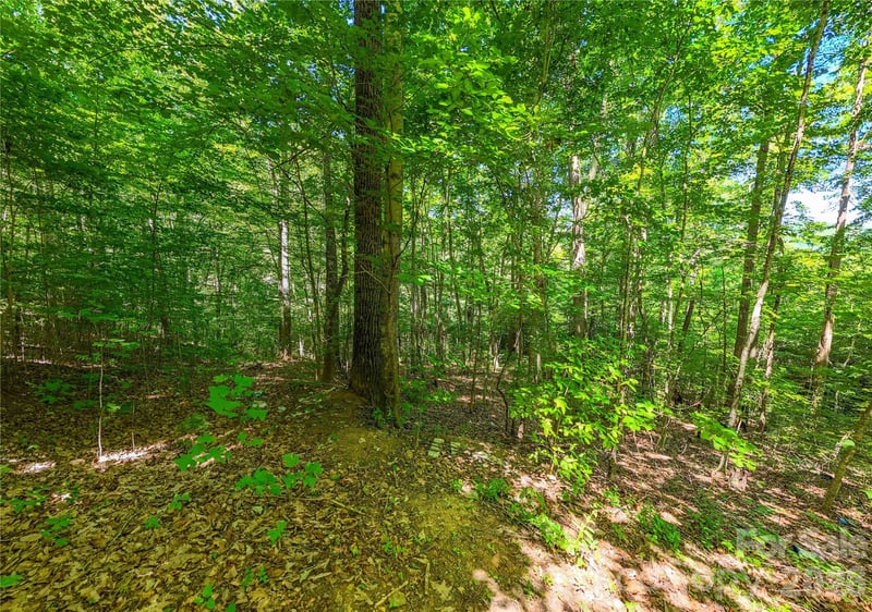 71 Timberwood Dr, Asheville, NC 28806