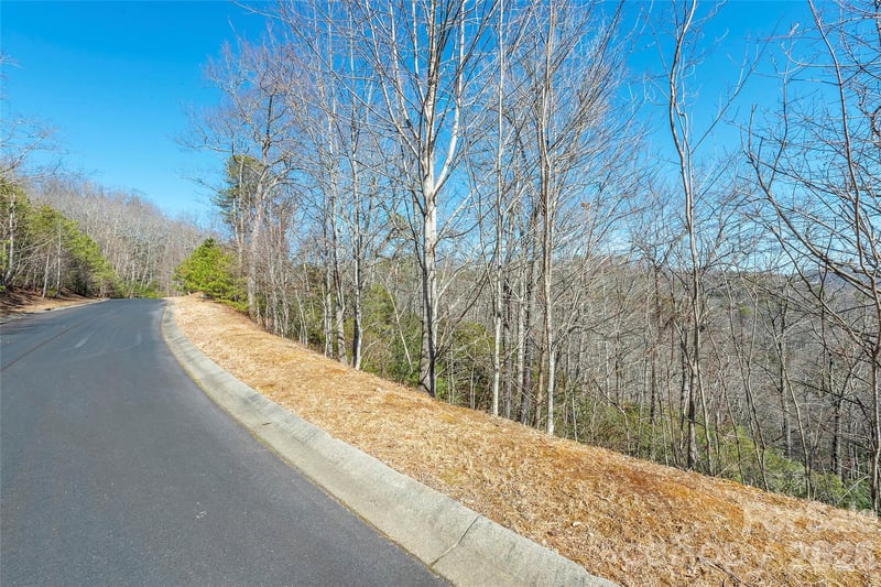 99999 Mills River Way #108, Horse Shoe, NC 28742