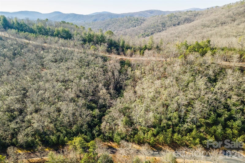 99999 Mills River Way #108, Horse Shoe, NC 28742