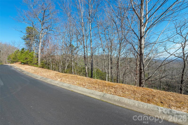 99999 Mills River Way #108, Horse Shoe, NC 28742