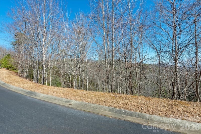 99999 Mills River Way #108, Horse Shoe, NC 28742