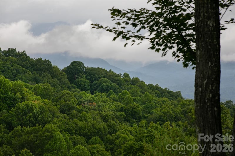 264 Tinequa Dr, Brevard, NC 28712