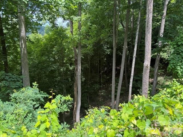 Lot 22 Spring Rock Rd, Burnsville, NC 28714