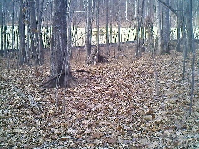 Lot 246 Glen Ridge Trl, Lake Lure, NC 28746