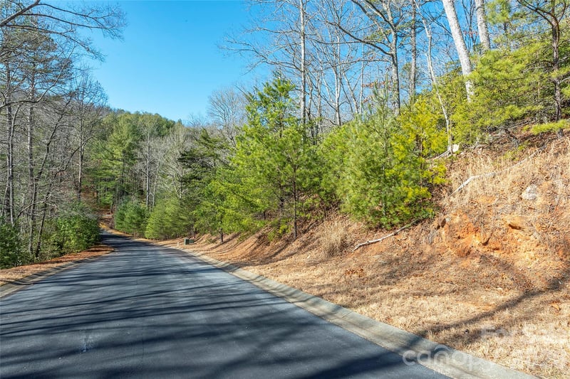 99999 Caddis Ln #92, Horse Shoe, NC 28742