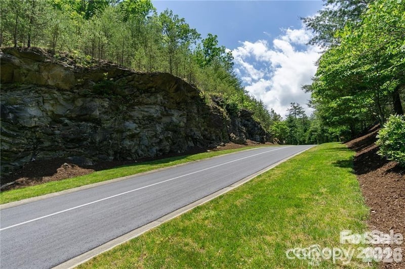 99999 Caddis Ln #92, Horse Shoe, NC 28742