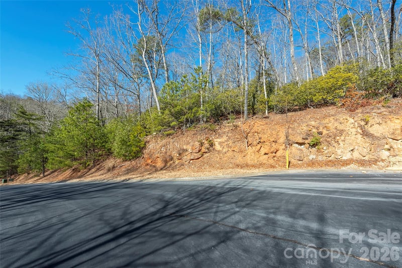 99999 Caddis Ln #92, Horse Shoe, NC 28742
