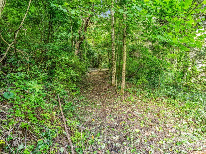 51 Orchard Park Dr, Marshall, NC 28753