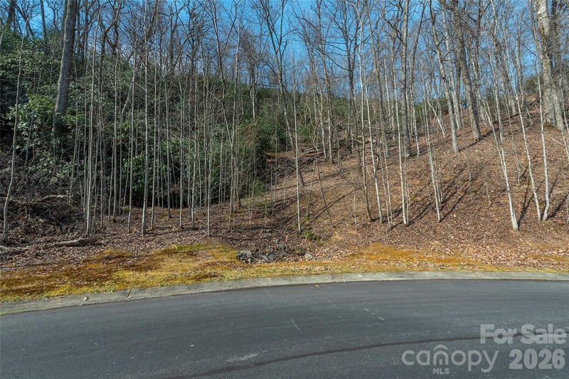 Lot 11 Shining Rock Pa, Horse Shoe, NC 28742