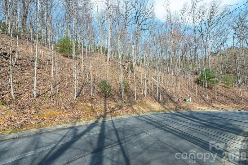 Lot 12 Shining Rock Pa, Horse Shoe, NC 28742