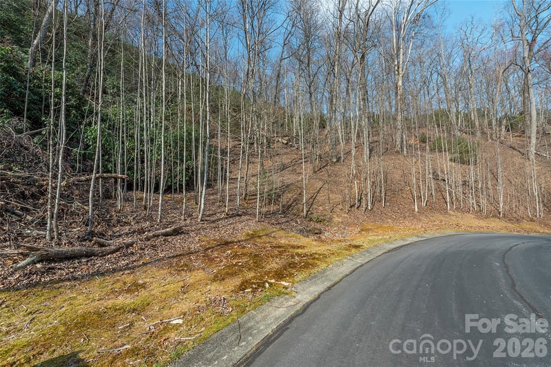 Lot 12 Shining Rock Pa, Horse Shoe, NC 28742