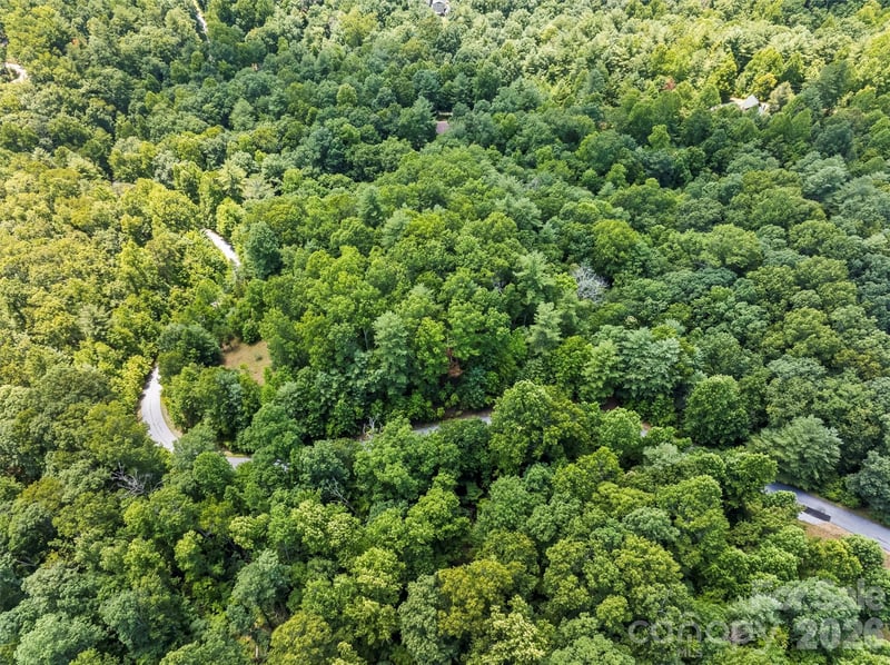 Lot 21 Big Raven Ln, Saluda, NC 28773