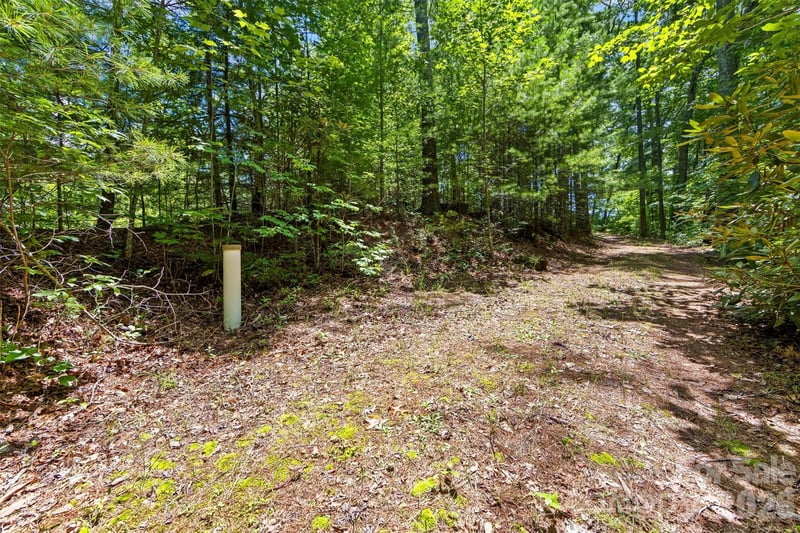 Lot 21 Big Raven Ln, Saluda, NC 28773