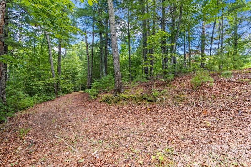Lot 21 Big Raven Ln, Saluda, NC 28773