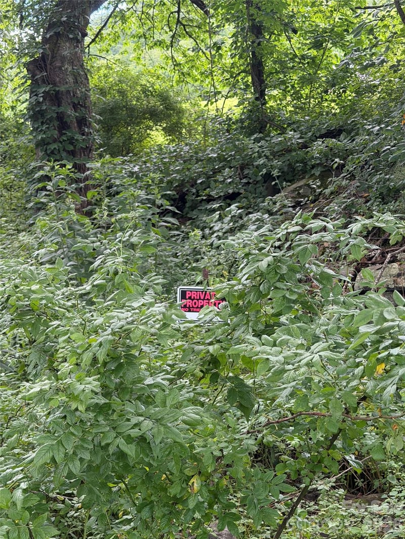 00 Trillium Way, Clyde, NC 28721