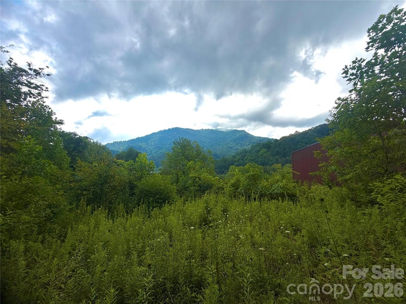00 Trillium Way, Clyde, NC 28721