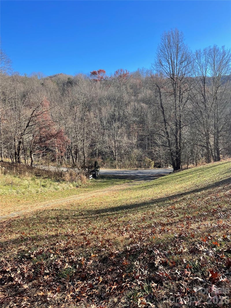 3265 Revere Rd, Marshall, NC 28753