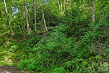 TBD Indian Falls Rd, Asheville, NC 28803