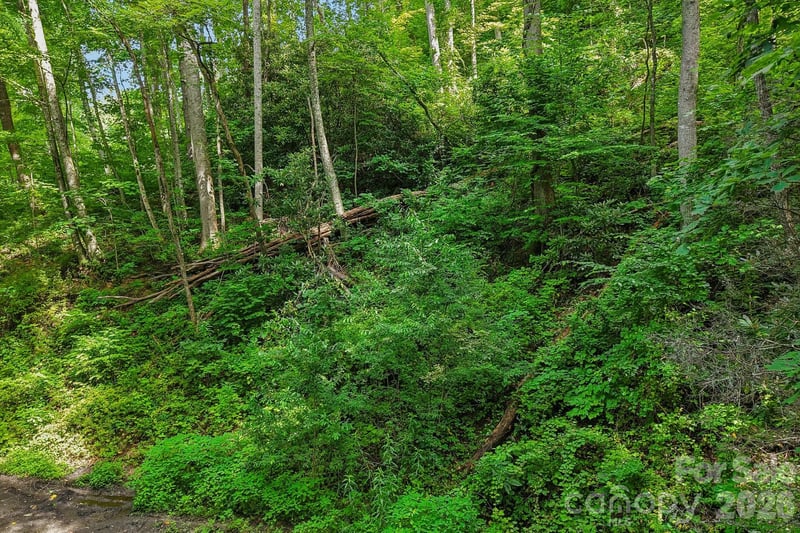 TBD Indian Falls Rd, Asheville, NC 28803