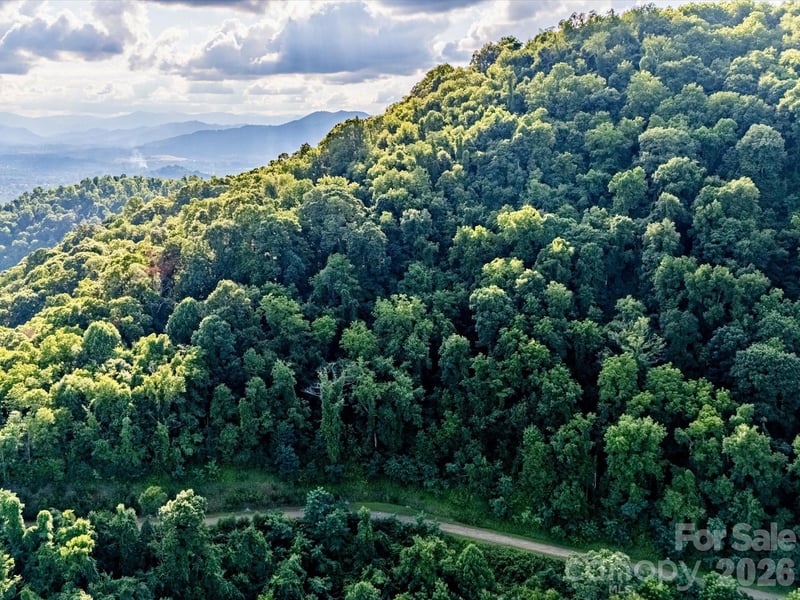 42 High Rock View Dr, Canton, NC 28716