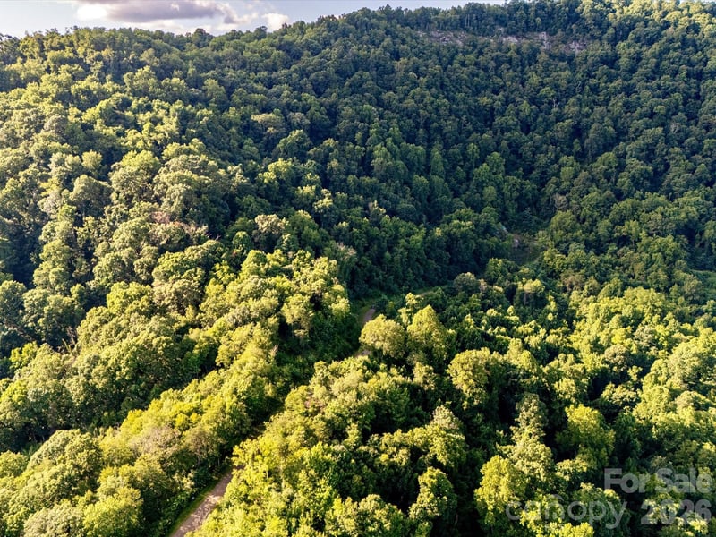 42 High Rock View Dr, Canton, NC 28716