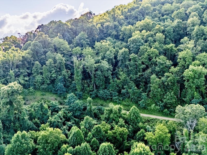 42 High Rock View Dr, Canton, NC 28716