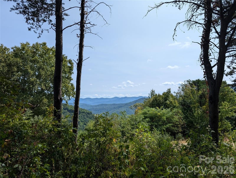 42 High Rock View Dr, Canton, NC 28716