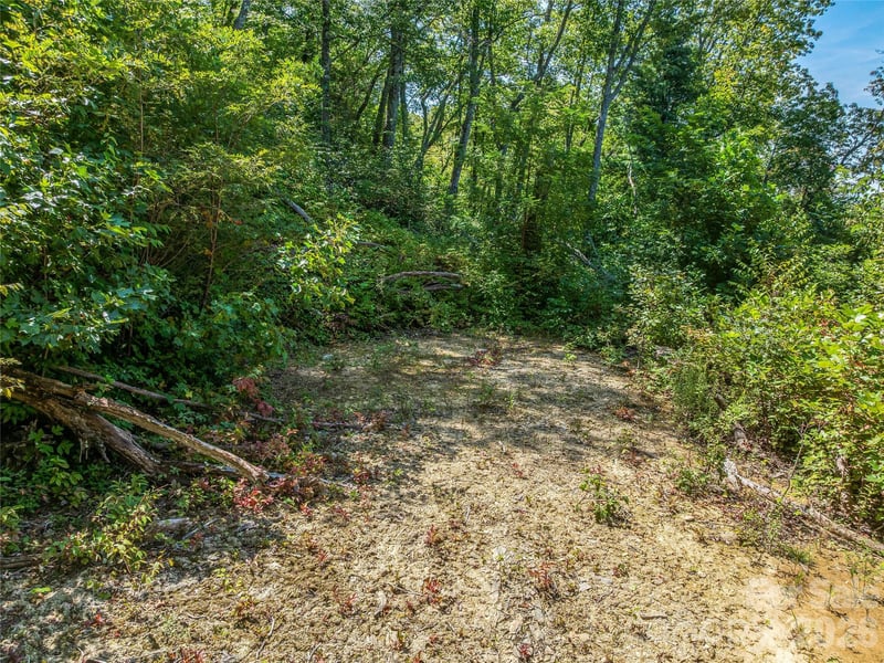 632 Justus Case Mountain Pl, Hendersonville, NC 28792