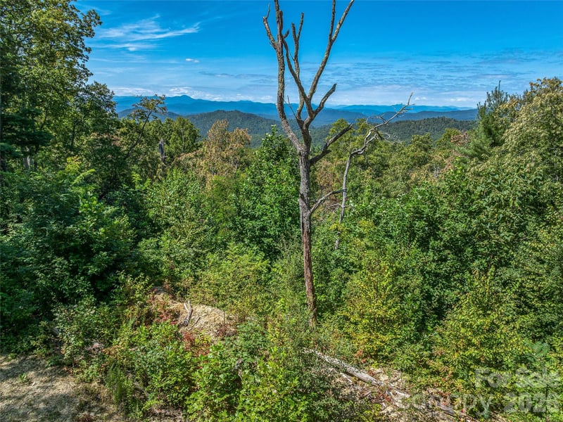 632 Justus Case Mountain Pl, Hendersonville, NC 28792