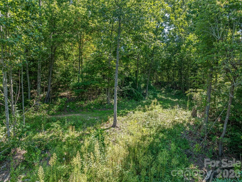 632 Justus Case Mountain Pl, Hendersonville, NC 28792