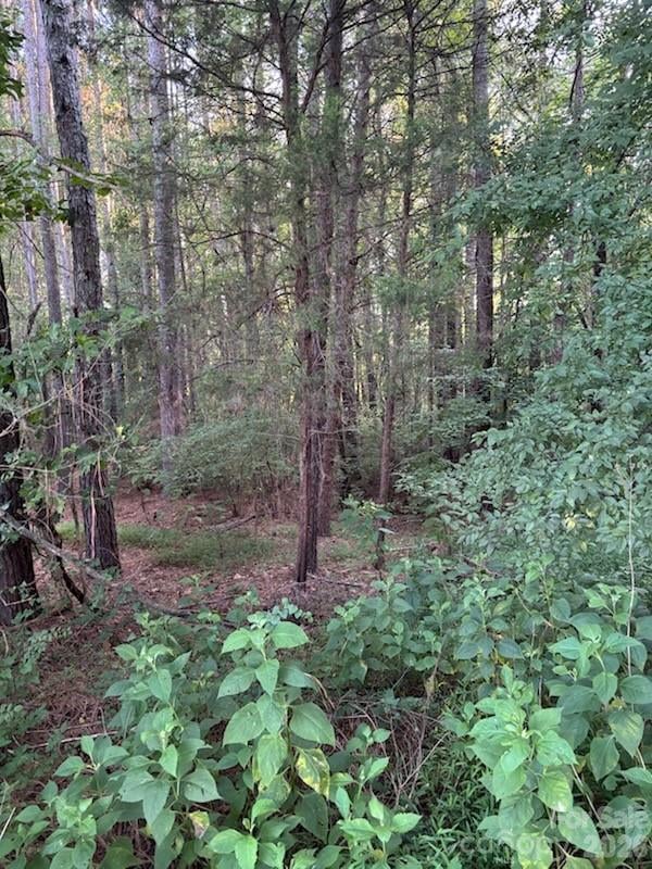 Lot 1 Mathis Church Rd, Catawba, NC 28609