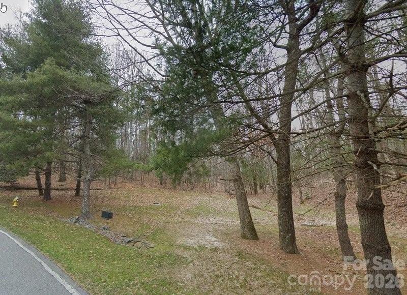 1008 Indian Cave Rd, Hendersonville, NC 28739