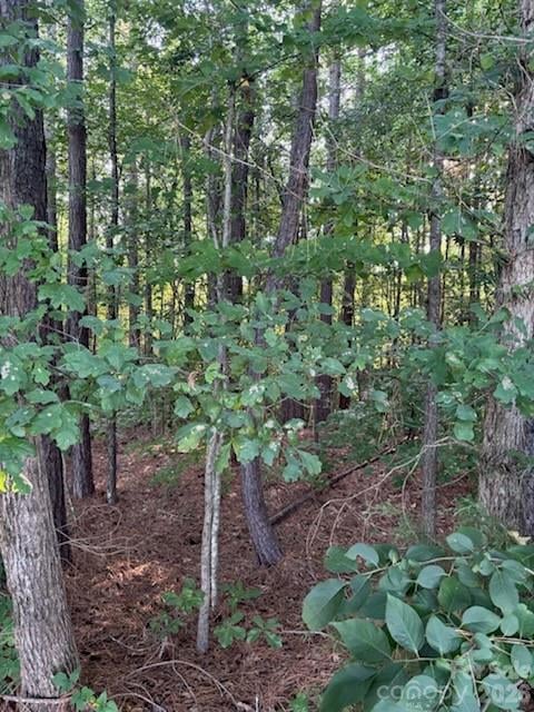 Lot 2 Mathis Church Rd, Catawba, NC 28609