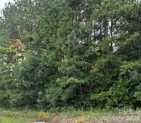 Lot 2 Mathis Church Rd, Catawba, NC 28609