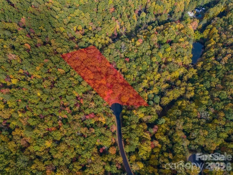 99999 Caddis Ln #91, Horse Shoe, NC 28742