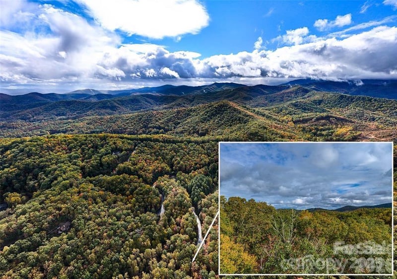 99999 Caddis Ln #91, Horse Shoe, NC 28742
