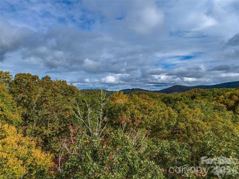 99999 Caddis Ln #91, Horse Shoe, NC 28742