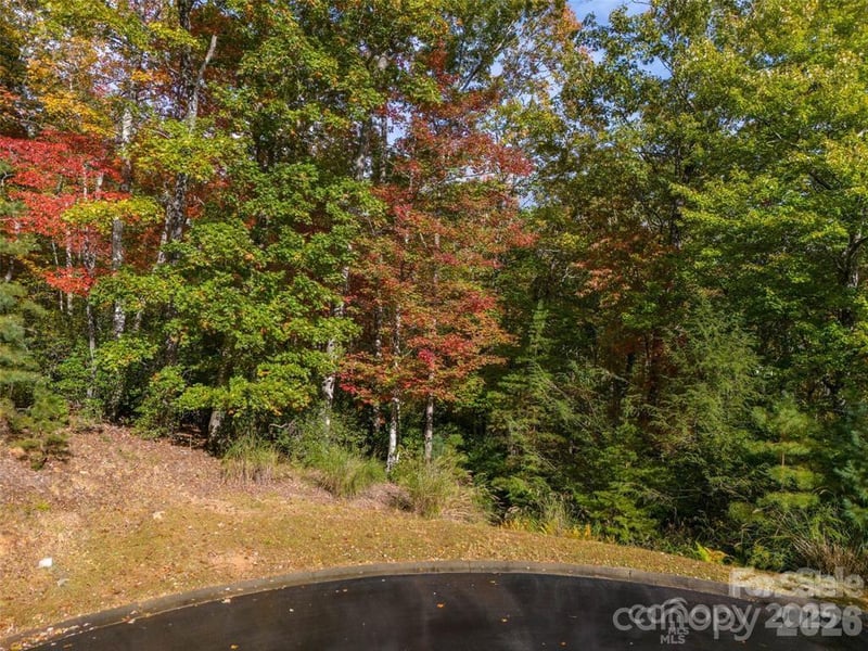 99999 Caddis Ln #91, Horse Shoe, NC 28742