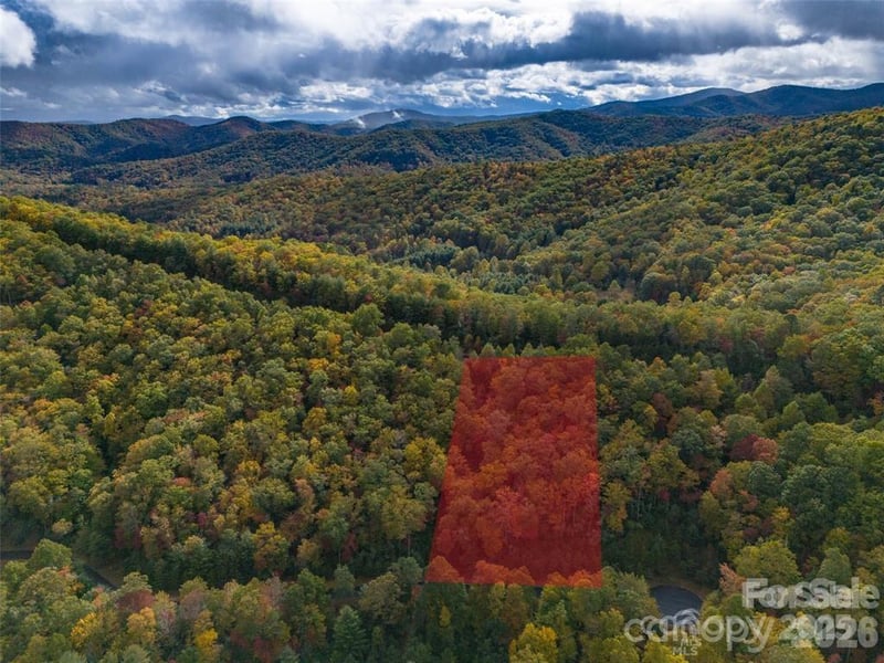 99999 Mills River Way Lot 107, Horse Shoe, NC 28742