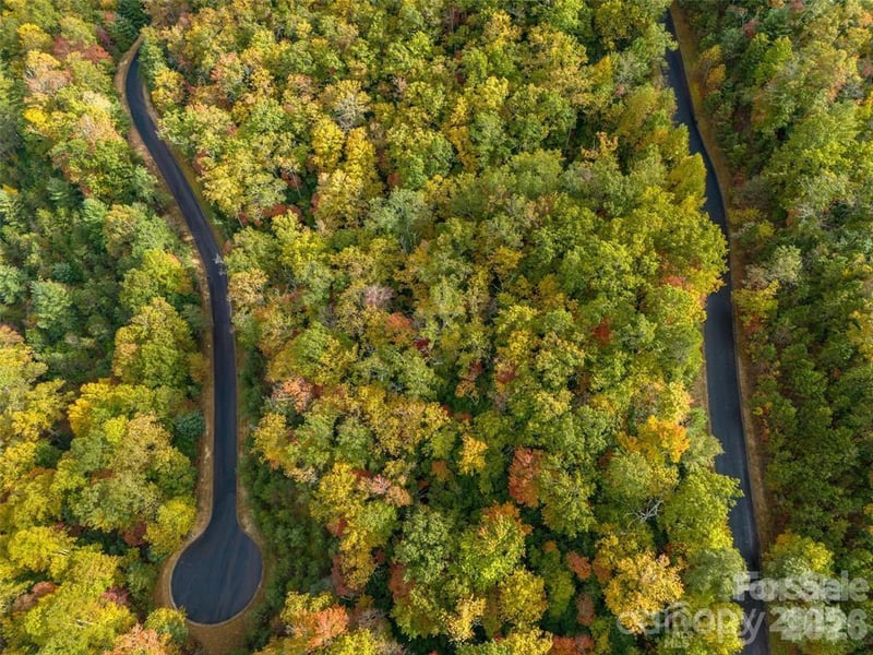 99999 Mills River Way Lot 107, Horse Shoe, NC 28742