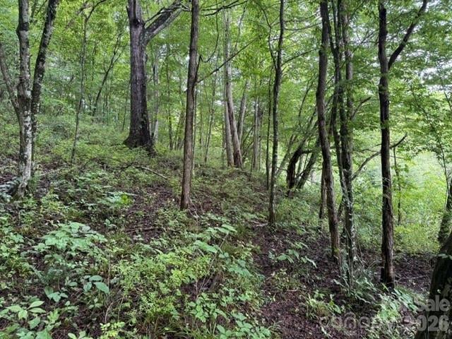 TBD Meadow Fork Rd, Hot Springs, NC 28743