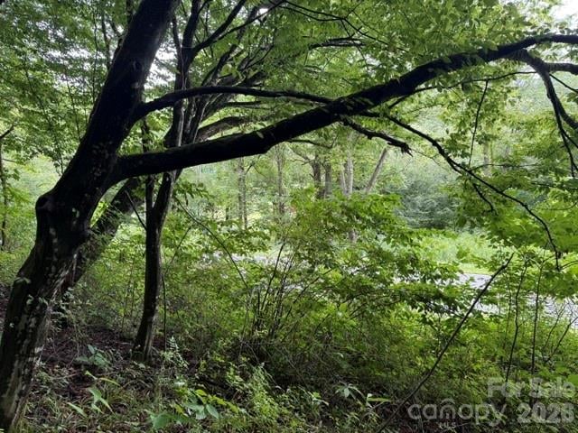 TBD Meadow Fork Rd, Hot Springs, NC 28743